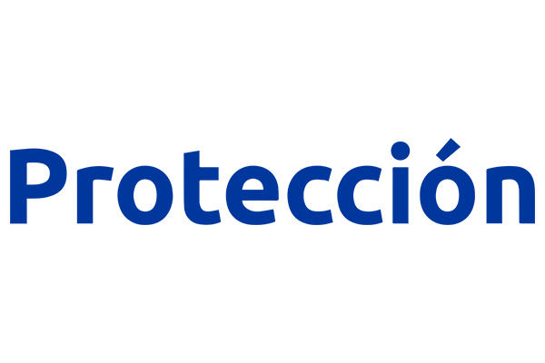 PROTECCION S.A*