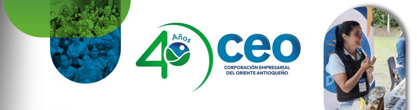 40 CEO - foto 1